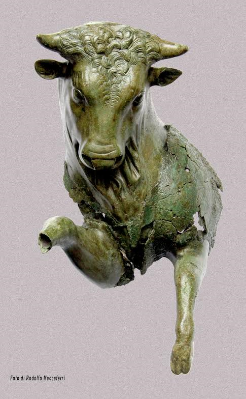 toro