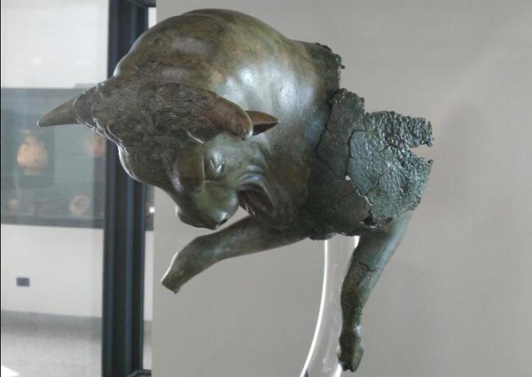 toro cozzante