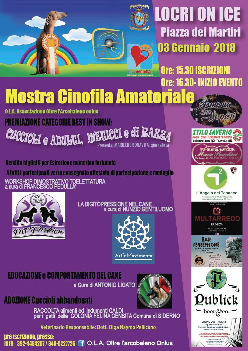 Mostre loc