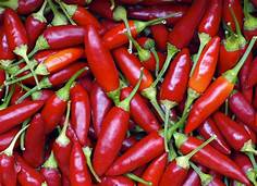 PEPERONCINO
