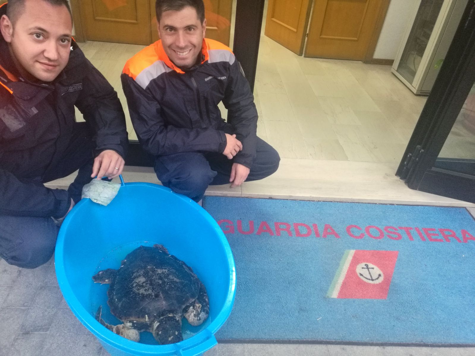 caretta