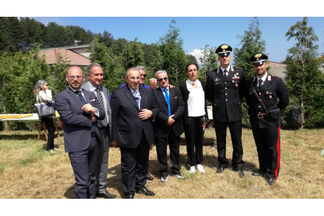 foto canolo 1
