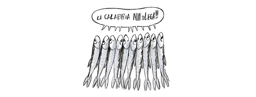6000 Sardine   La Calabria non si lega