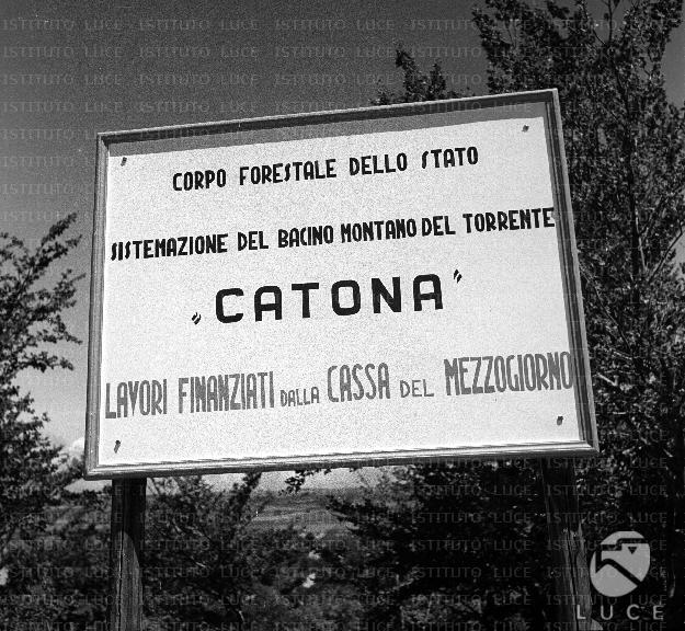 CdM