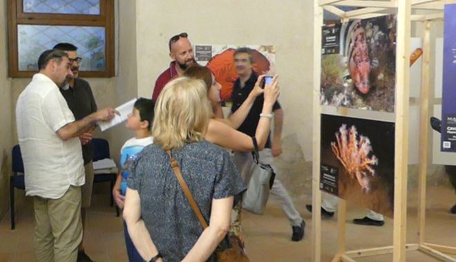 Mostra2
