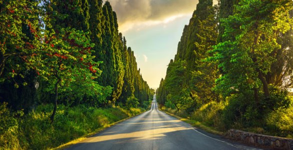 viaggio
