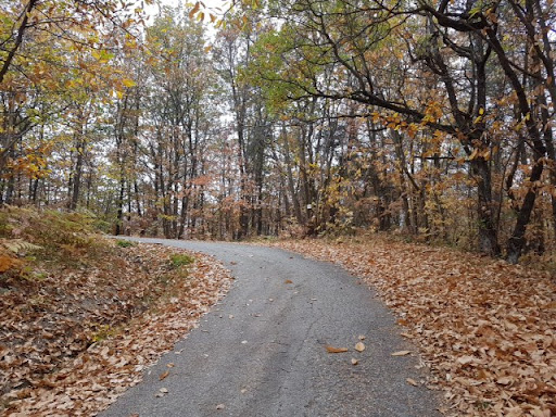 autunno