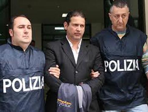 rocco femia 3