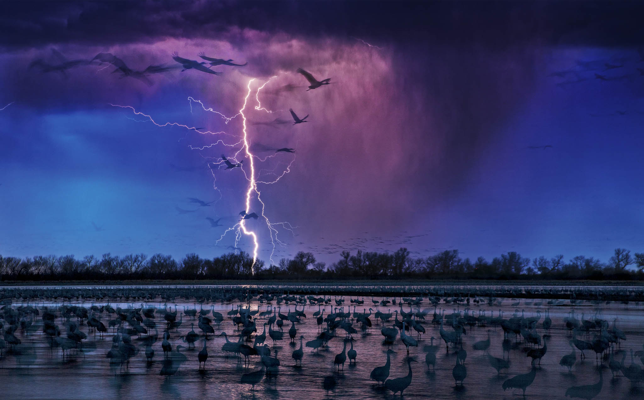 Bluocean Planet vs Plastic copyright Randy Olson 1