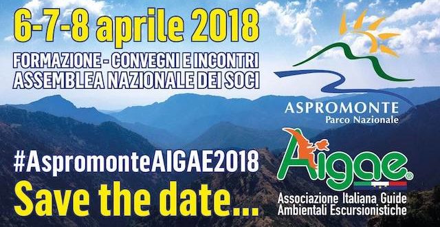 aigae MEETING