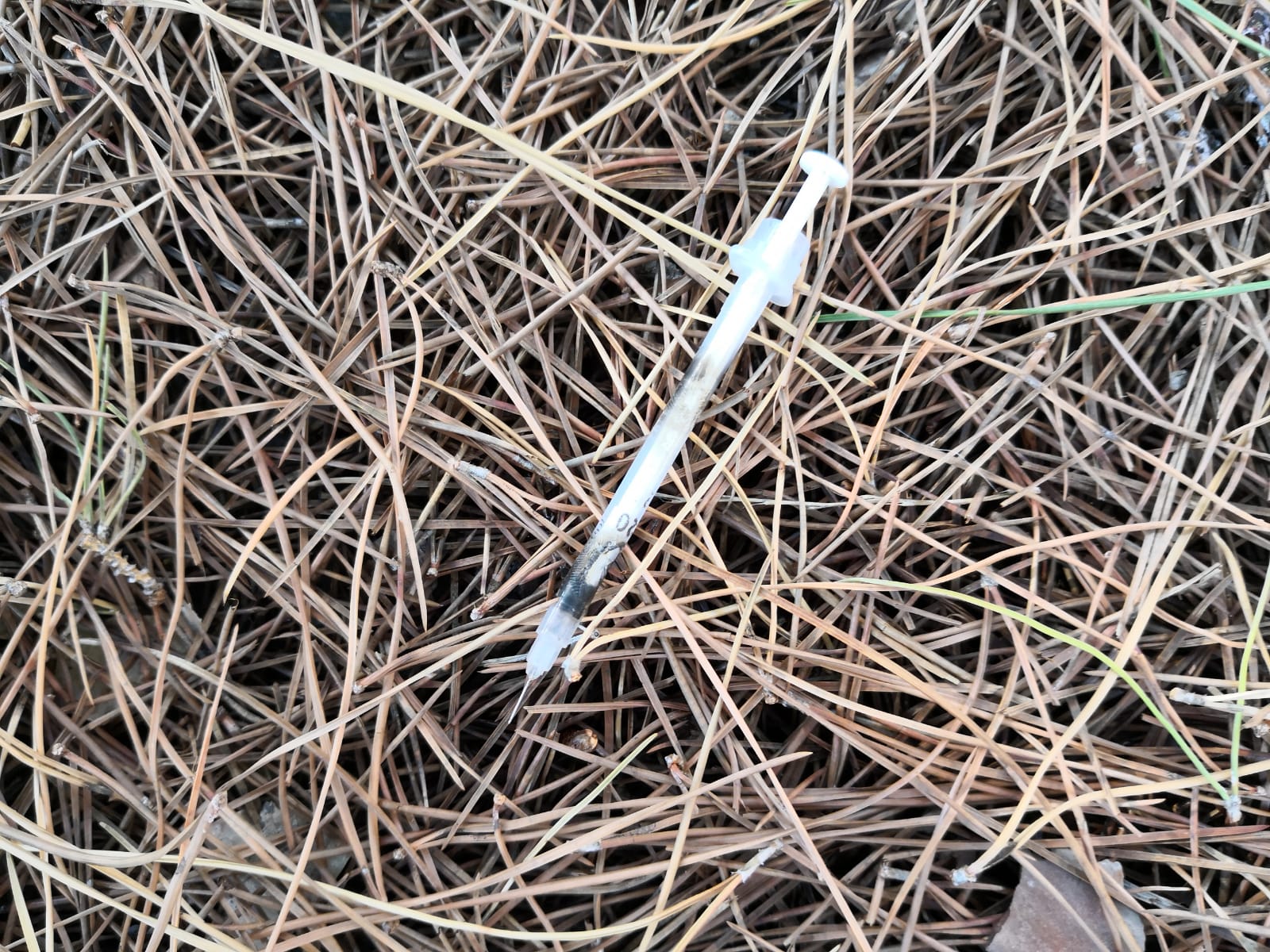 ciccarello