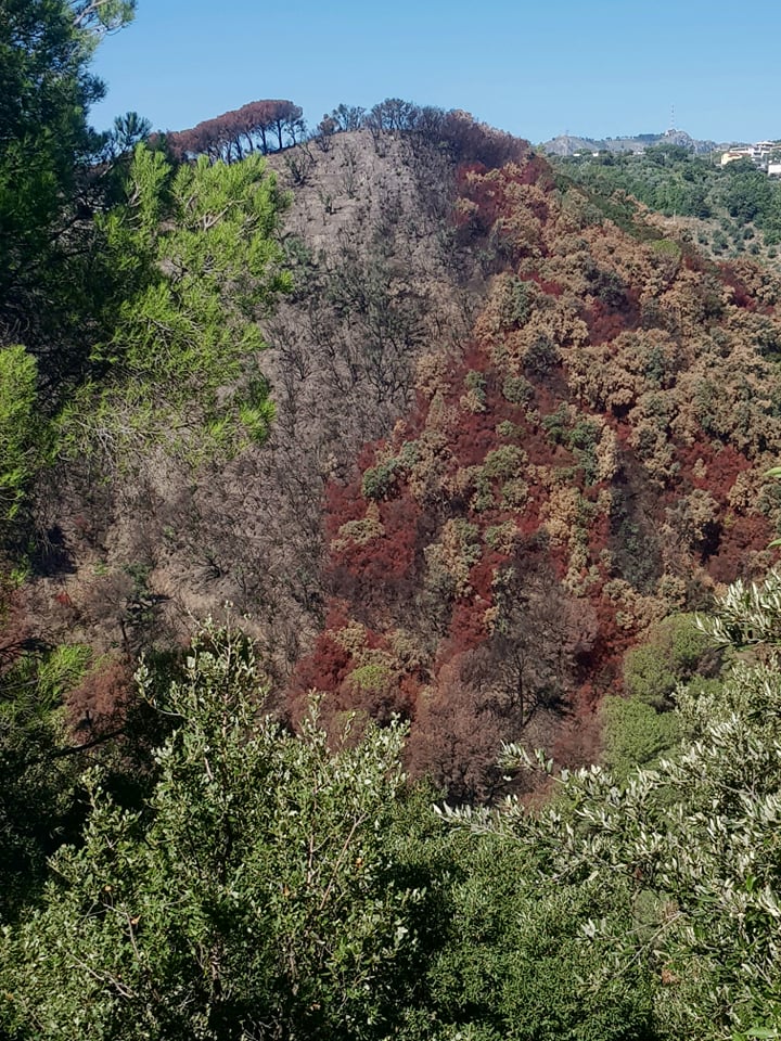 incendi